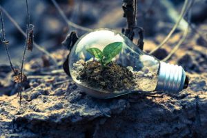 Sustainability and Fiber: How African Companies are Leading the Way