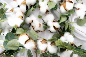 Eco-Friendly Fibers: How African Companies are Leading the Green Textile Movement