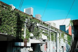 Impact of New Regulations on the Energy Industry: Navigating the Changes