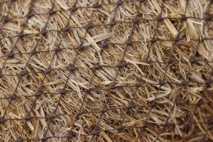 Spinning Success: Spotlight on Africa’s Emerging Fiber Industry Leaders