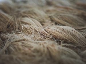 Natural Fibers, Global Markets: Africa’s Role in the Sustainable Textile Revolution