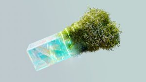 The Future of Telecommunications: Spotlight on Africa’s Fiber Companies