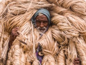 From Cotton to Innovation: How African Fiber Companies are Transforming Textiles