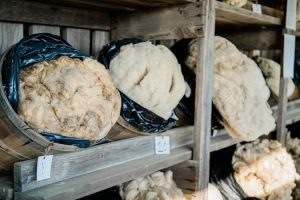 Natural Fibers, Global Markets: Africa’s Role in the Sustainable Textile Revolution