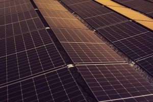 Sustainability and Fiber: How African Companies are Leading the Way