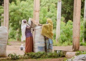 Threads of Change: The Social and Economic Benefits of Fiber Companies in Africa