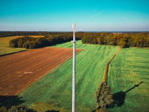 Mapping the Fiber Landscape: Key Players and Projects Across Africa