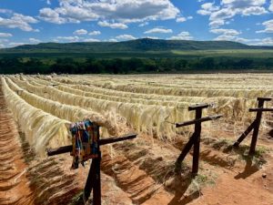 Natural Fibers, Global Markets: Africa’s Role in the Sustainable Textile Revolution