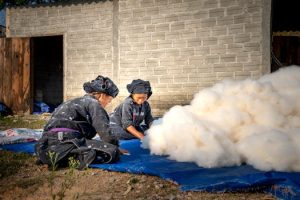 Empowering Communities: The Role of Women in Africa’s Fiber Production