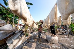Empowering Communities: The Role of Women in Africa’s Fiber Production – WordPress