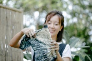 Eco-Friendly Fibers: How African Companies are Leading the Green Textile Movement