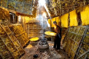 Grassroots Growth: The Impact of Local Fiber Producers on Africa’s Economy