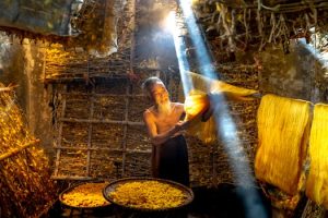 Natural Fibers, Global Markets: Africa’s Role in the Sustainable Textile Revolution