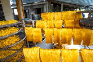 Fiber Futures: Innovations and Trends in Africa’s Textile Industry