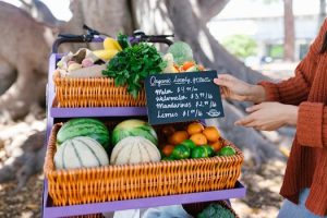 Weaving a Sustainable Future: The Rise of Fiber Companies in Africa