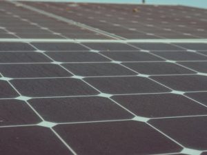 Sustainability and Fiber: How African Companies are Leading the Way