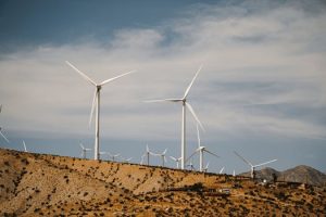 Weaving a Sustainable Future: The Rise of Fiber Companies in Africa