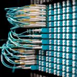 Essential Guide: Fiber Networks in Future Connectivity
