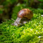 How 6G’s ISAC and NTNs Could Transform Defense Connectivity